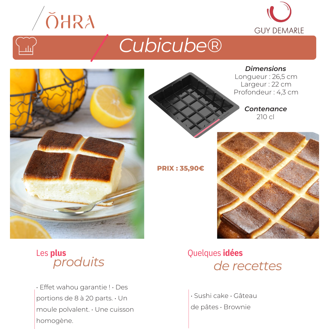 Moule Cubicube OHRA Guy Demarle